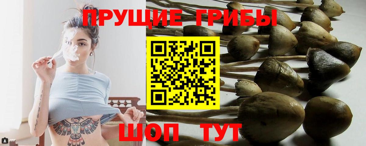 Галлюциногенные грибы GOLDEN TEACHER Михайловск